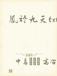 凤于九天txt