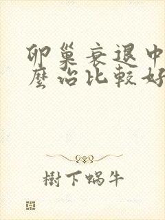 卵巢衰退中医怎么治比较好