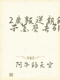 2岁叛逆期的孩子怎么去引导