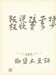 叛逆孩子特训学校收费多少