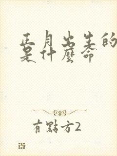 正月出生的男孩是什么命封面