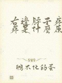 右边脖子疼肩膀疼是什么原因封面