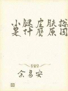 小腿皮肤总是痒是什么原因封面