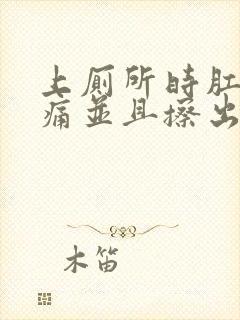 上厕所时肛门刺痛并且擦出血