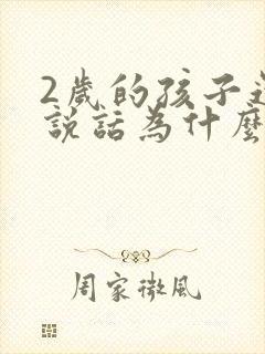 2岁的孩子还不说话为什么