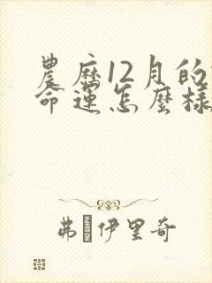 农历12月的蛇命运怎么样