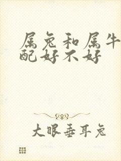 属兔和属牛的婚配好不好