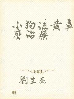 小狗流黄鼻涕怎么治疗