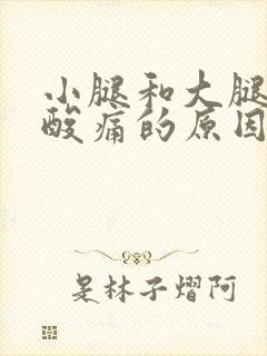 小腿和大腿肌肉酸痛的原因