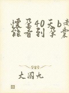 怀孕40天b超能看到孕囊多大