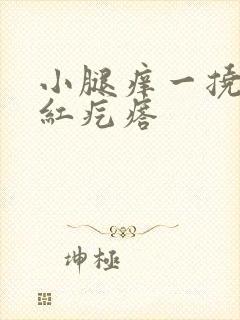 小腿痒一挠就起红疙瘩封面