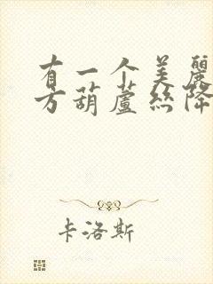 有一个美丽的地方葫芦丝降b调