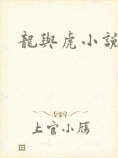 龙与虎小说