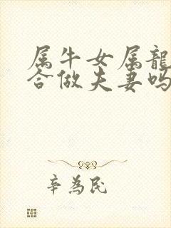 属牛女属龙男适合做夫妻吗封面