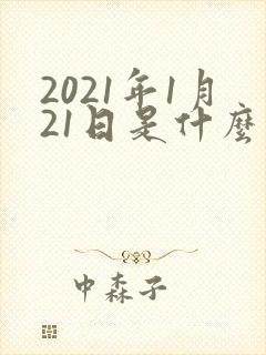 2021年1月21日是什么星座