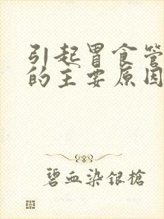 引起胃食管反流的主要原因