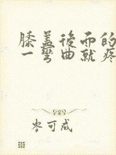 膝盖后面的腿窝一弯曲就疼