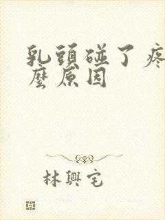 乳头碰了疼是什么原因封面