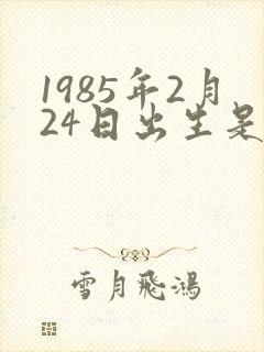 1985年2月24日出生是什么命