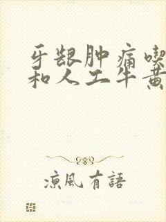 牙龈肿痛吃头孢和人工牛黄甲硝唑可以吗