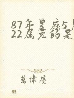 87年农历5月22属兔的是什么命