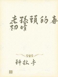 老孙头的春天林初晴封面