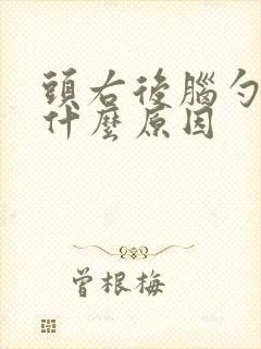 头右后脑勺痛是什么原因