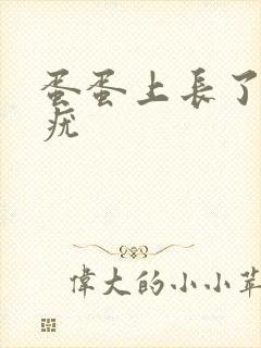 蛋蛋上长了丝状疣