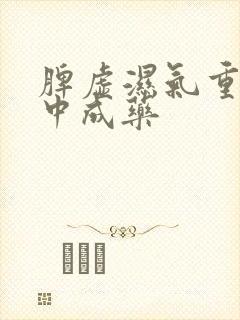 脾虚湿气重吃啥中成药封面