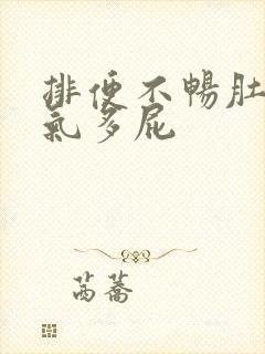 排便不畅肚子胀气多屁封面