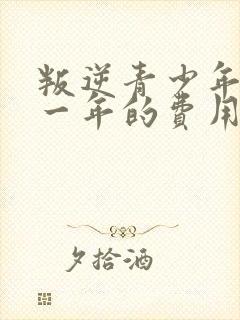 叛逆青少年学校一年的费用大概是多少