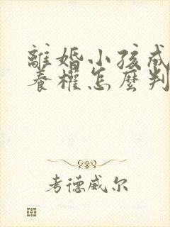 离婚小孩成年抚养权怎么判定