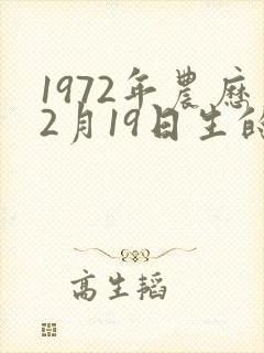 1972年农历2月19日生的命运