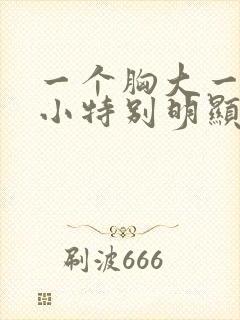 一个胸大一个胸小特别明显怎么办封面