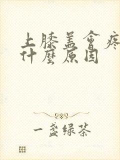 上膝盖会疼痛是什么原因封面