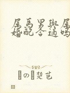 属马男与属龙女婚配合适吗封面