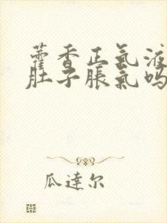 藿香正气液能治肚子胀气吗封面