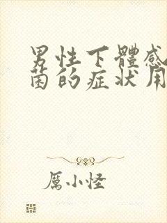 男性下体感染真菌的症状用什么药效果最好封面