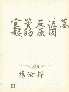 食管反流怎么引起的原因