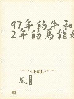 97年的牛和02年的马能婚配吗封面