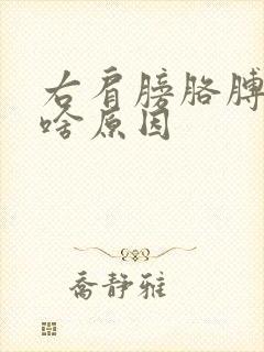 右肩膀胳膊疼是啥原因