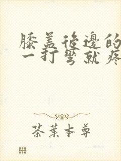 膝盖后边的腿窝一打弯就疼封面