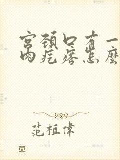 宫颈口有一个小肉疙瘩怎么回事封面