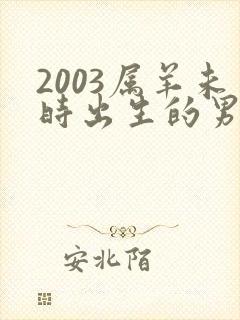 2003属羊未时出生的男孩命运如何