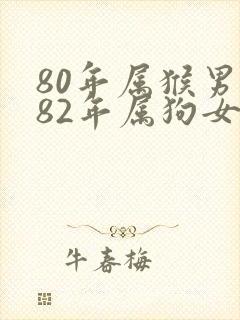 80年属猴男与82年属狗女婚姻