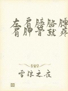 左肩膀胳膊一抬肩胛骨就疼