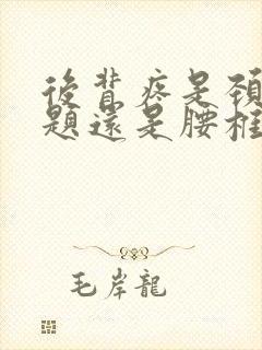 后背疼是颈椎问题还是腰椎问题