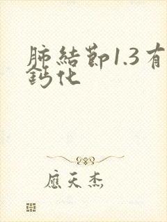 肺结节1.3有钙化