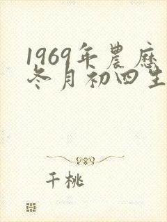 1969年农历冬月初四生人命运