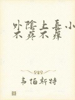 外阴上长小肉粒不疼不痒